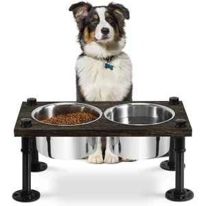 Dog Feeding Station with Bowls